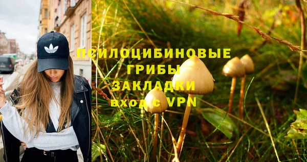 a pvp Михайлов