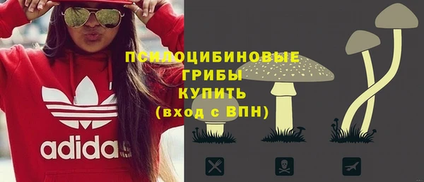 мескалин Медвежьегорск