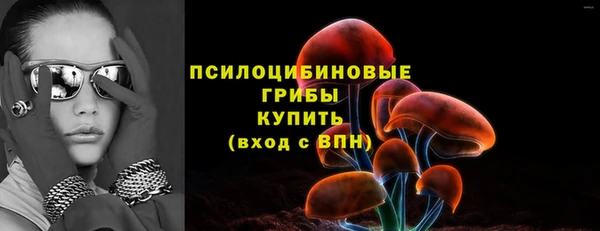 ПСИЛОЦИБИНОВЫЕ ГРИБЫ Мегион