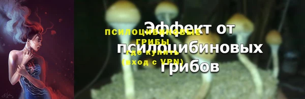 прущая мука Медногорск