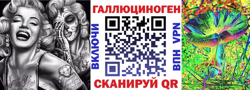 купить наркотик  Томмот  blacksprut зеркало  площадка наркотические препараты  Псилоцибиновые грибы Psilocybe 
